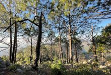 Tilla Chourani景点图片