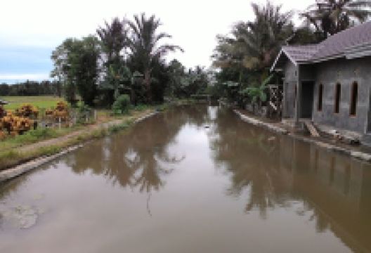 Sungai Awang Besar景点图片