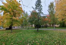 Kyrkparken景点图片
