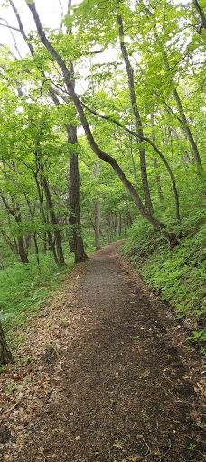 市民の森不習岳-八户