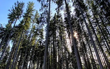 裏德之石小教堂