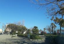 Parco Nicholas Green景点图片