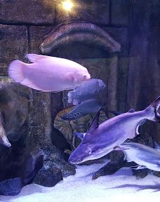 ViaSea水族馆-伊斯坦布尔