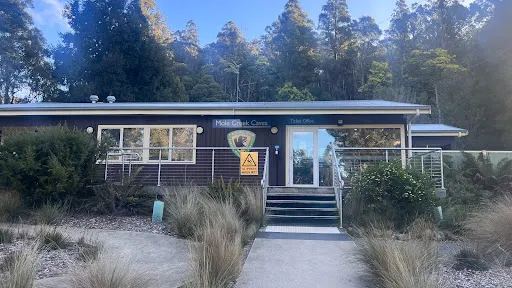 Mole Creek Caves