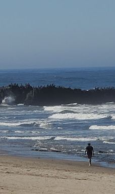 Public Beach Access 35th Street-林肯城