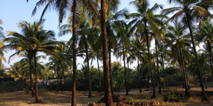 Wairy Ubhatwadi Beach