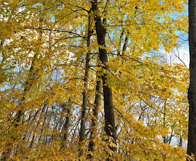 Tourne County Park
