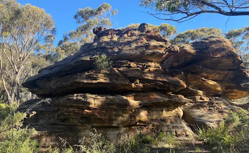 Bracey Lookout