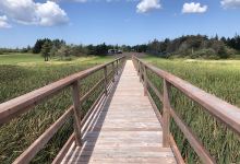 Hunter Beach Campground & Family Park景点图片