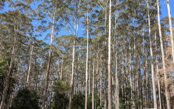 邦哥爾國家公園