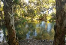 Gemini Springs North Trailhead景点图片