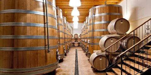 Azienda Agricola Monte Zovo