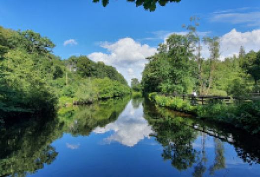 Bokedalens växter景点图片