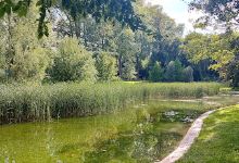 Parc des Cèdres景点图片