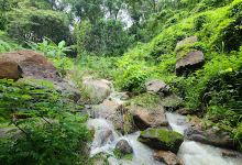 Làng Lá Retreats景点图片