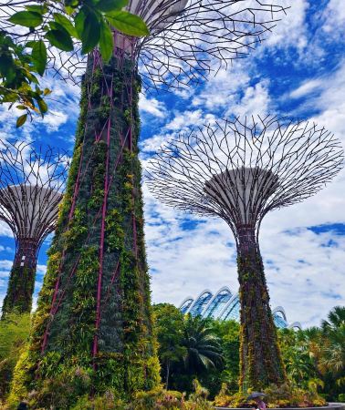 4D3N • Singapore