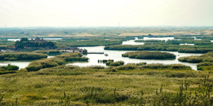 沙湖景區-鳥類科普基地