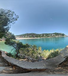 Playa Sa Riera-巴古尔