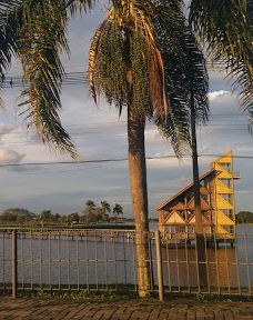 库里提巴诺提科公园-库里提巴