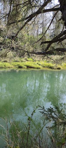 Siletz Bay National Wildlife Refuge-林肯县