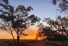 Ben Scott Memorial Birdwalk景点图片
