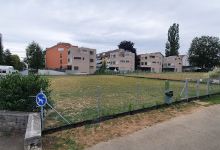 Steinbühlweg Dog Park景点图片