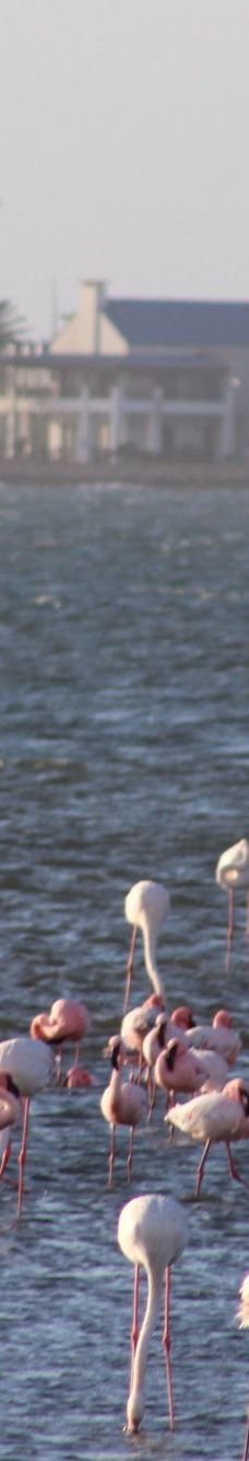 长滩休闲公园-Langstrand