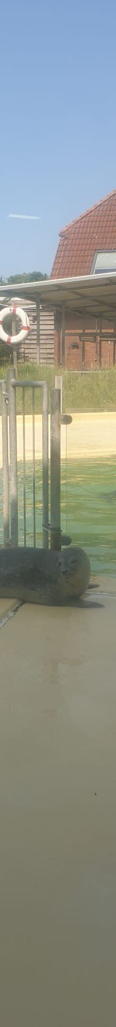 Seehundstation und Waloseum-诺德代希