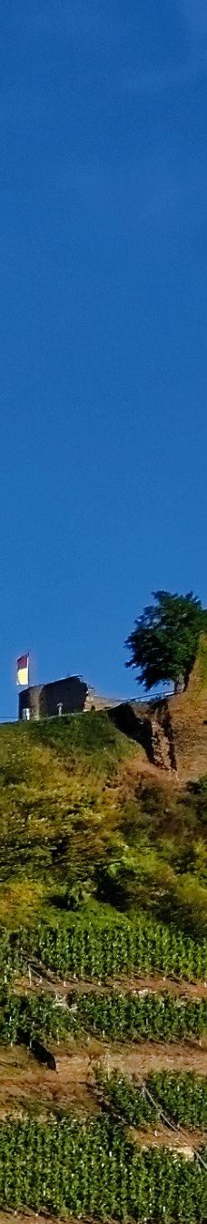 Metternich Castle-拜尔施泰因