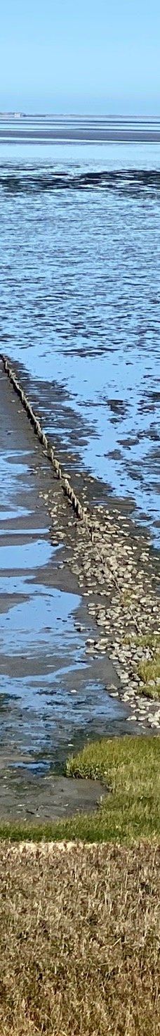 Morsum-Kliff-摩尔苏姆