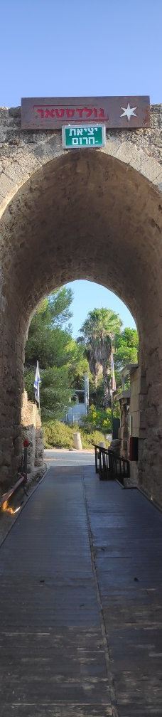 Zappa Amphi Shuni-Binyamina-Giv'at Ada