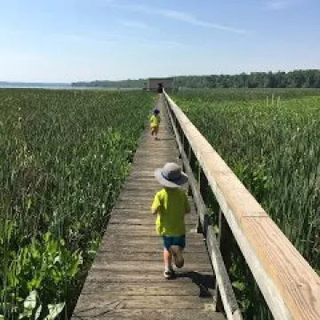 Jug Bay Wetlands Sanctuary
