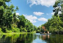 Alexander Springs景点图片