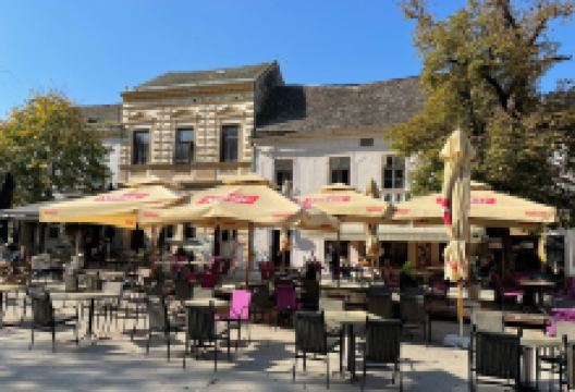 The Four Lions景点图片