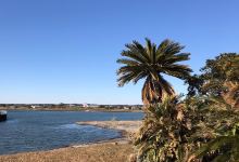 夷隅川流域景点图片