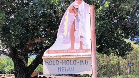 Pohaku-ho'ohanau and Pohaku Piko