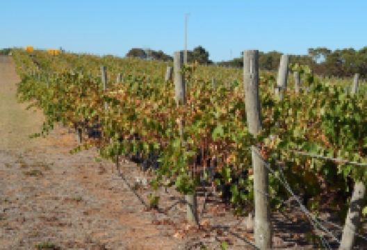 Ralph Fowler Wines景点图片