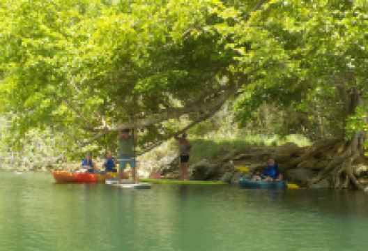 Verde Azul Surf & Stand Up Paddleboard Shop购物图片