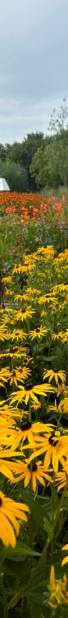 The Gardens of Appeltern-阿珀尔特伦