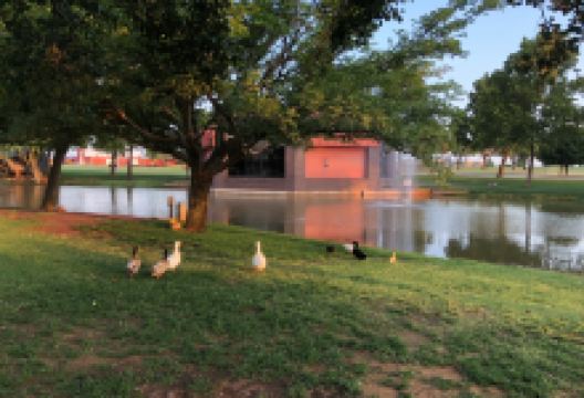 Ackley Park景点图片