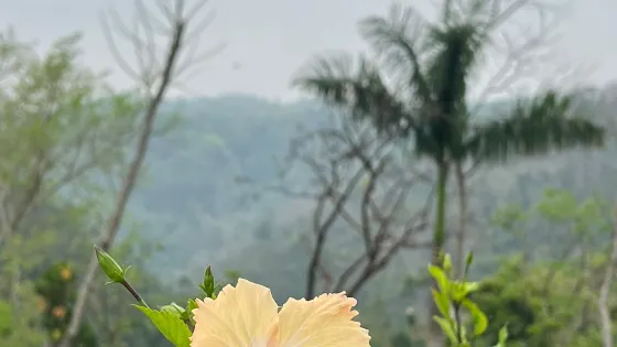 Eco Park Xanath - Papantla
