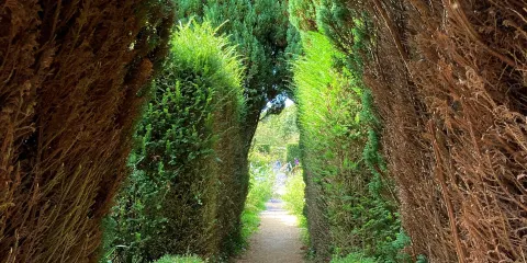 The Walled Garden Moreton