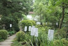 Manyo Botanical Garden景点图片