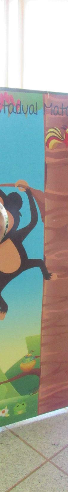 Parque Estadual Mata do Limoeiro-伊塔比拉