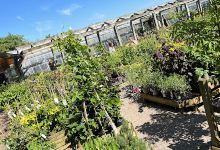Eastwick Plant Centre购物图片