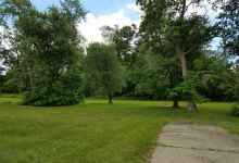Willow's Field景点图片