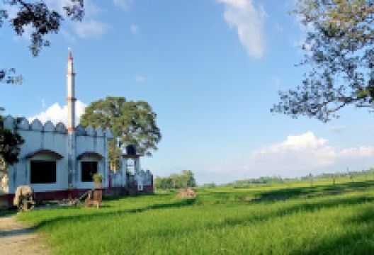 Masjid e Siddiq مسجد صدیق景点图片
