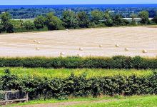 Hamilton Farmers East Lothian景点图片