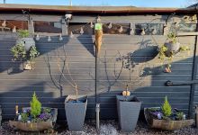 Grange Farm Garden Centre购物图片