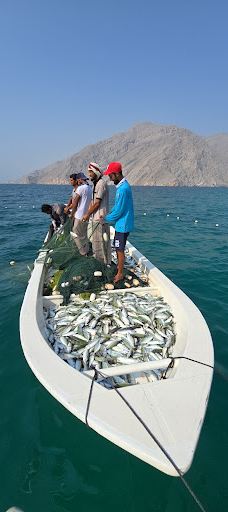 Monster roc-海塞卜